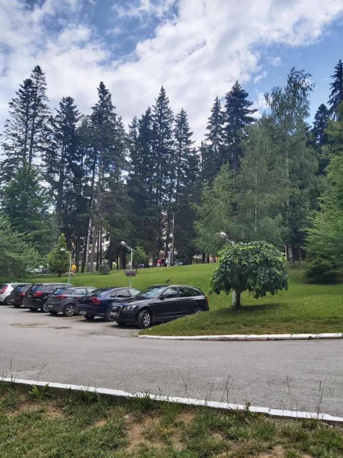 Premium Apartment In Borovets Gardens Complex Dış mekan fotoğraf