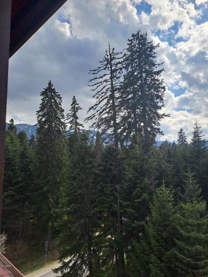 Premium Apartment In Borovets Gardens Complex Dış mekan fotoğraf
